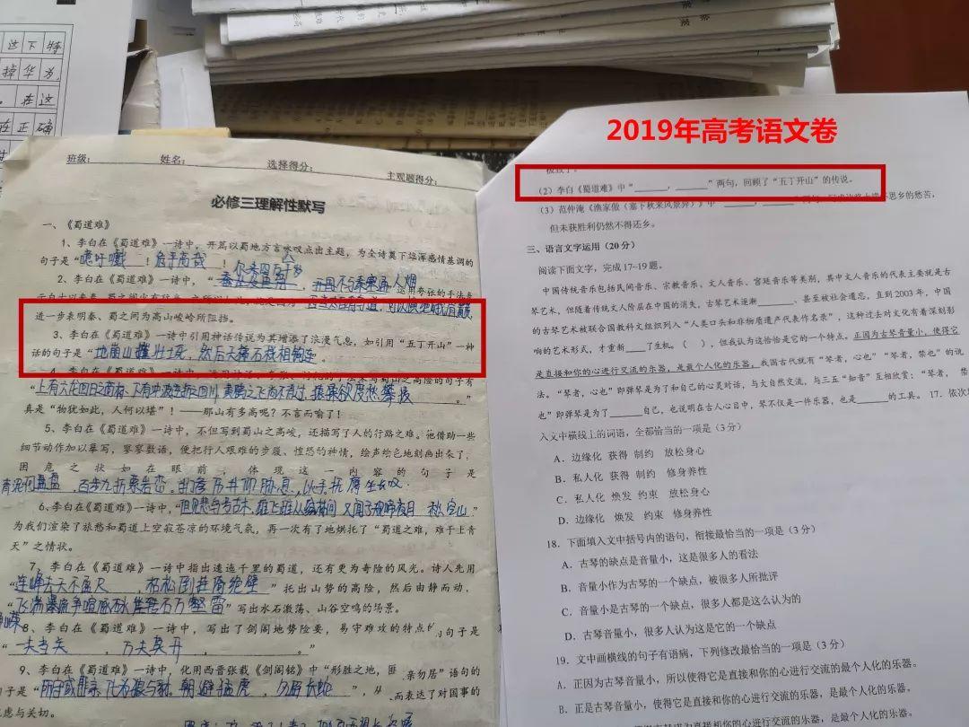 押中高考题、中考题？！太阳集团81068网址都会森林学校学校“硬核”实力圈粉无数！