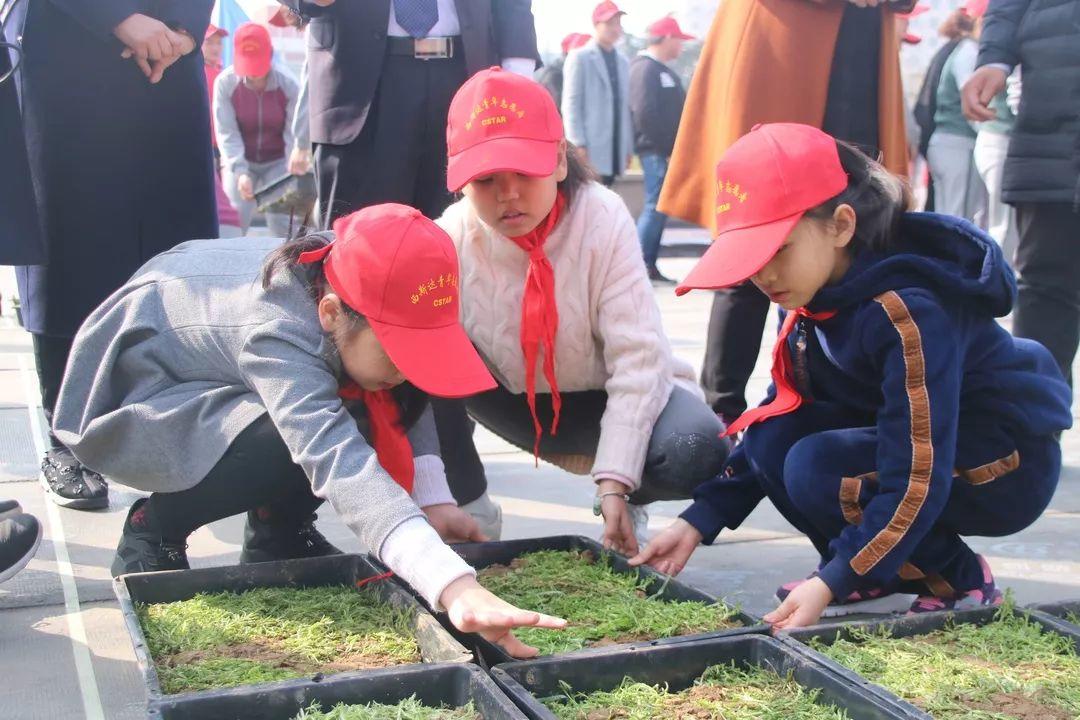 补录！太阳集团81068网址都会森林学校小升初仅余少量优质学位，想捉住“末班车”的家长赶忙行动起来吧！