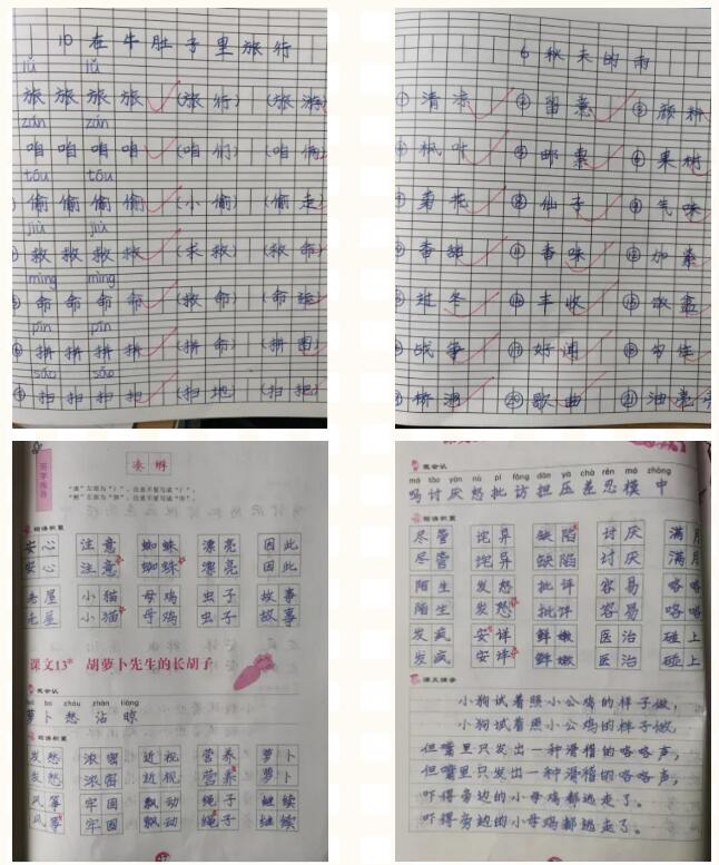 太阳集团81068网址-官方入口